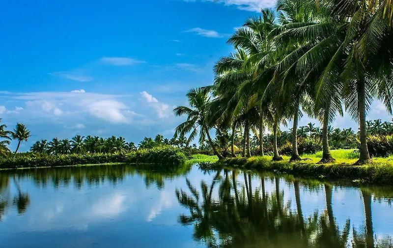 홈스테이 Golden Beach Home Stay Alappuzha 인도